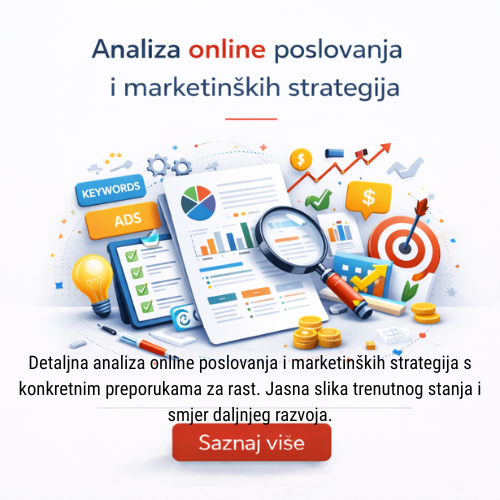 Analiza online poslovanja i marketinških strategija